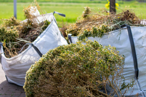 Best Junk Removal Near Me  in Renova, MS